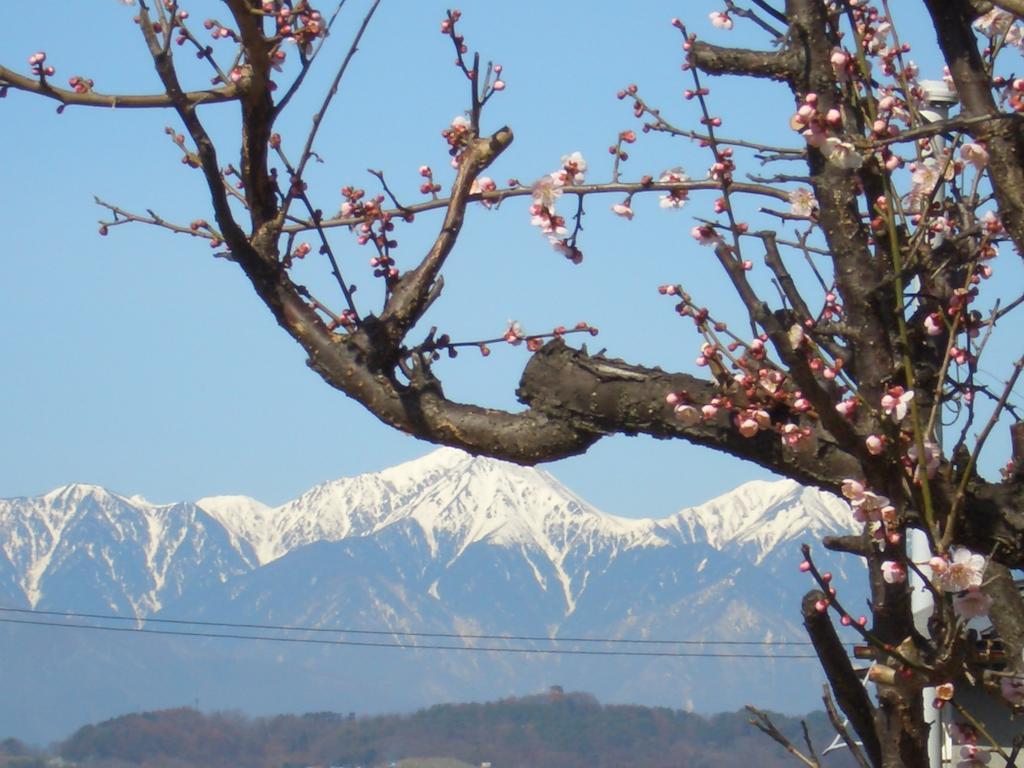 Tomitaya Ryokan Bekkan Macumoto Exteriér fotografie